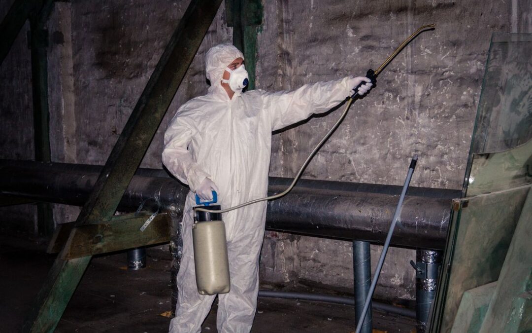 Dezynfekcja – cena Bydgoszcz, czyli o kosztach dezynfekcji w Bydgoszczy