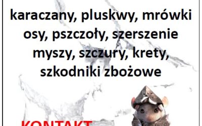 NASZE NOWE WIZYTÓWKI ORAZ ULOTKI